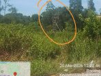 IMG-20260520-WA0127